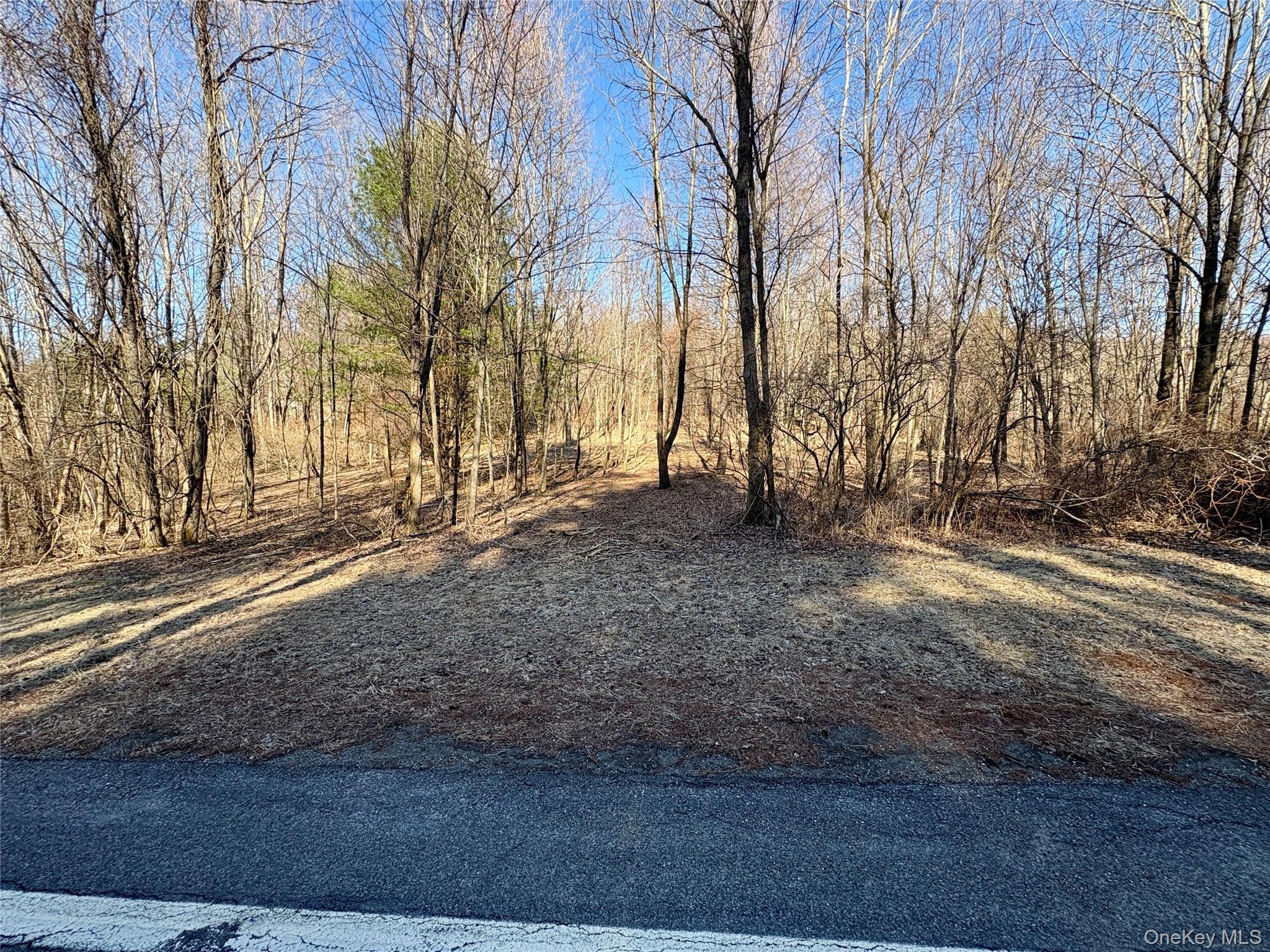 0 Route 7 Copake, NY 12516 - Photo 38 of 40 a view of dirt yard with a large tree