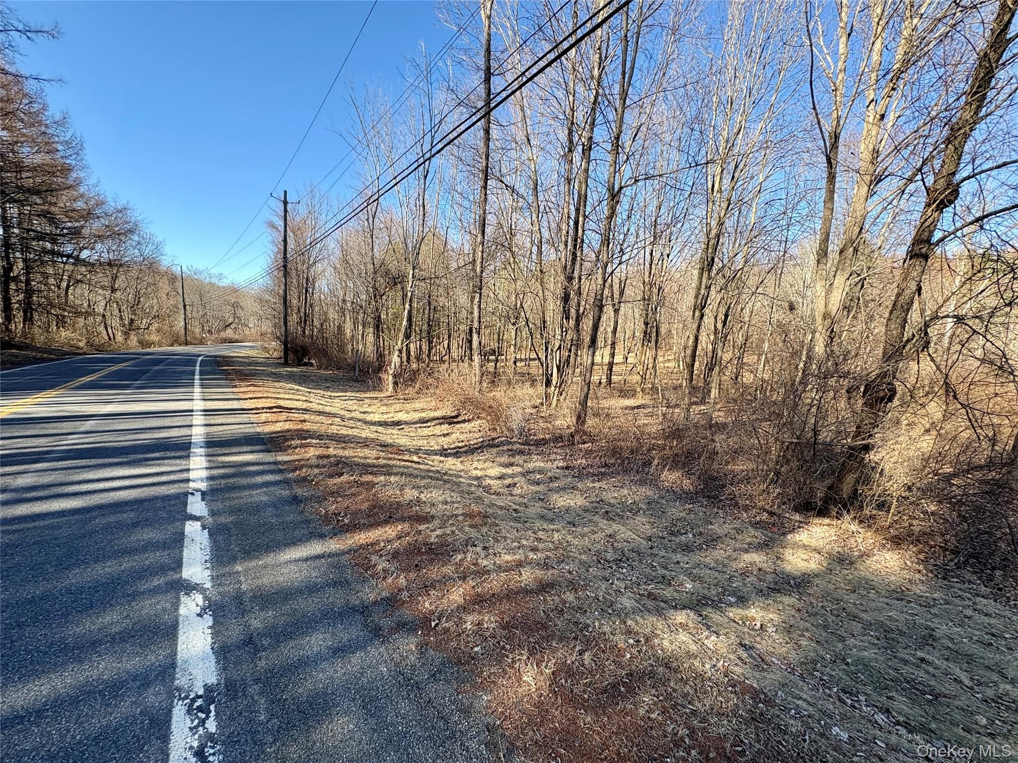 0 Route 7 Copake, NY 12516 - Photo 39 of 40 a view of a yard with wooden fence