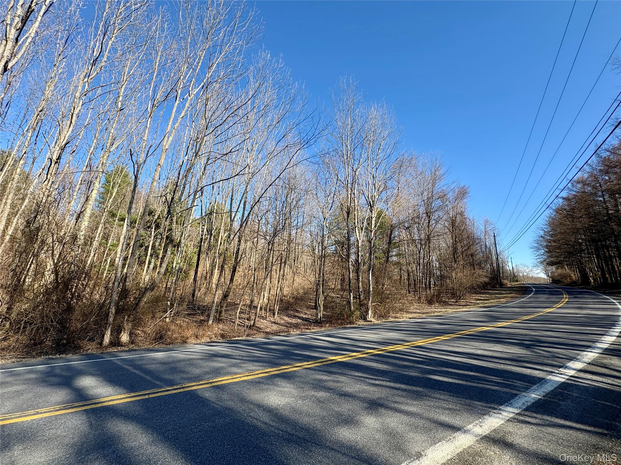 0 Route 7 Copake, NY 12516 - Photo 40 of 40 a view of a backyard of the house