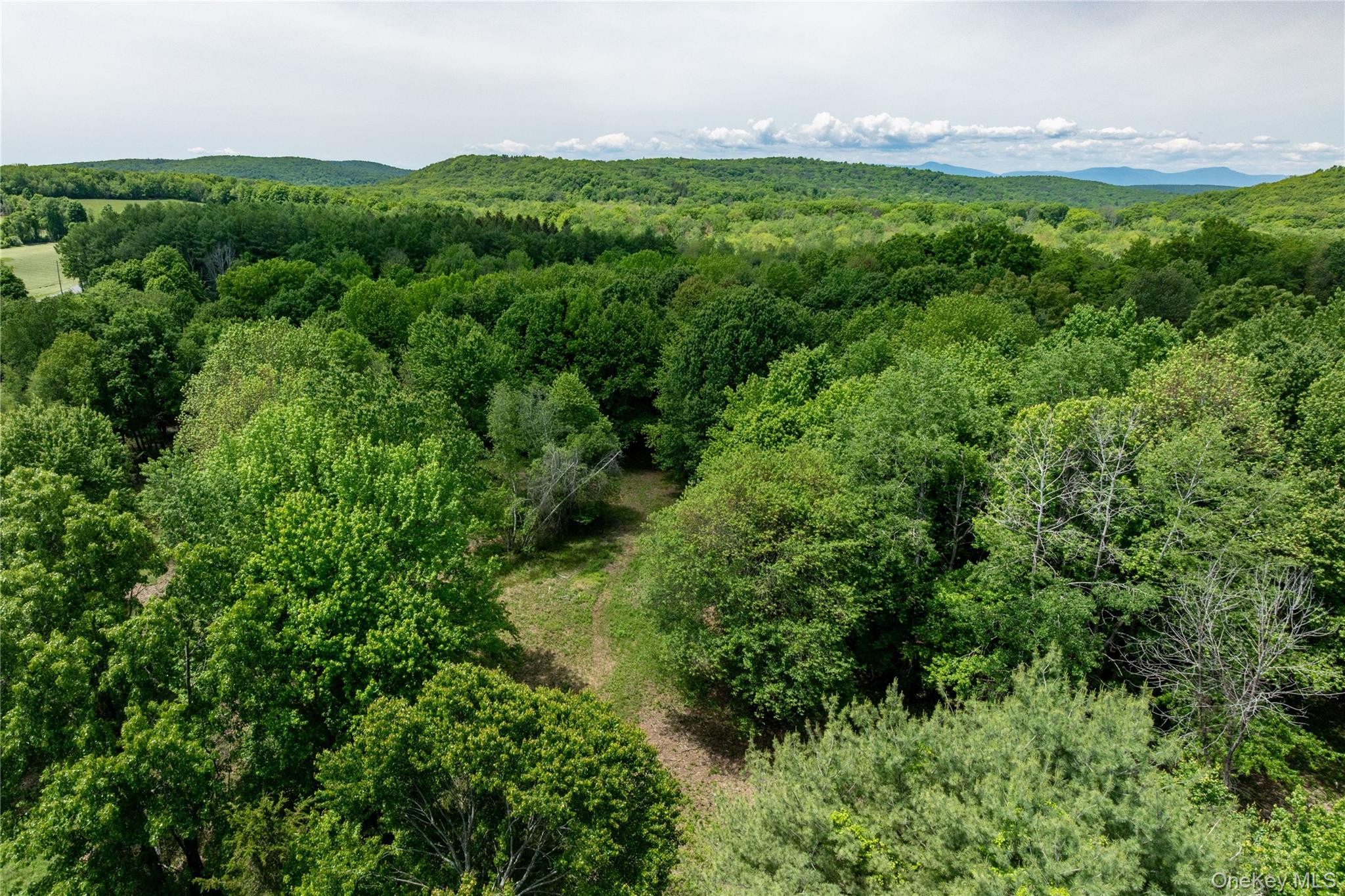 0 Route 7 Copake, NY 12516 - Photo 4 of 40 a view of a yard with plants and a tree
