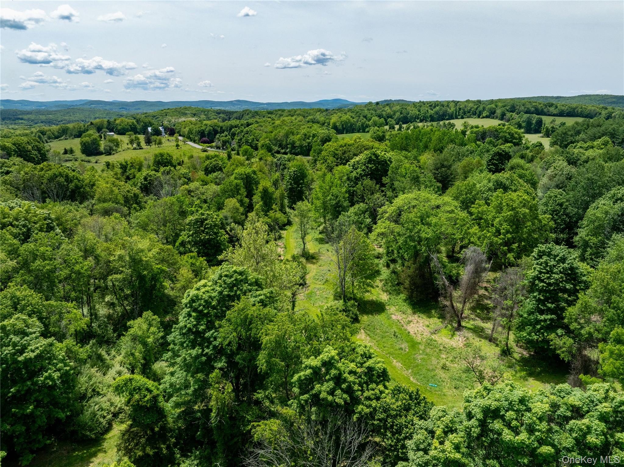 0 Route 7 Copake, NY 12516 - Photo 5 of 40 a view of a lush green forest with lots of trees