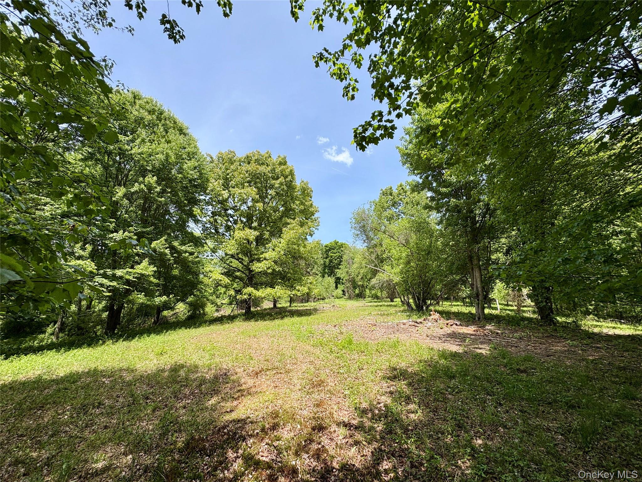 0 Route 7 Copake, NY 12516 - Photo 6 of 40 a view of outdoor space and yard