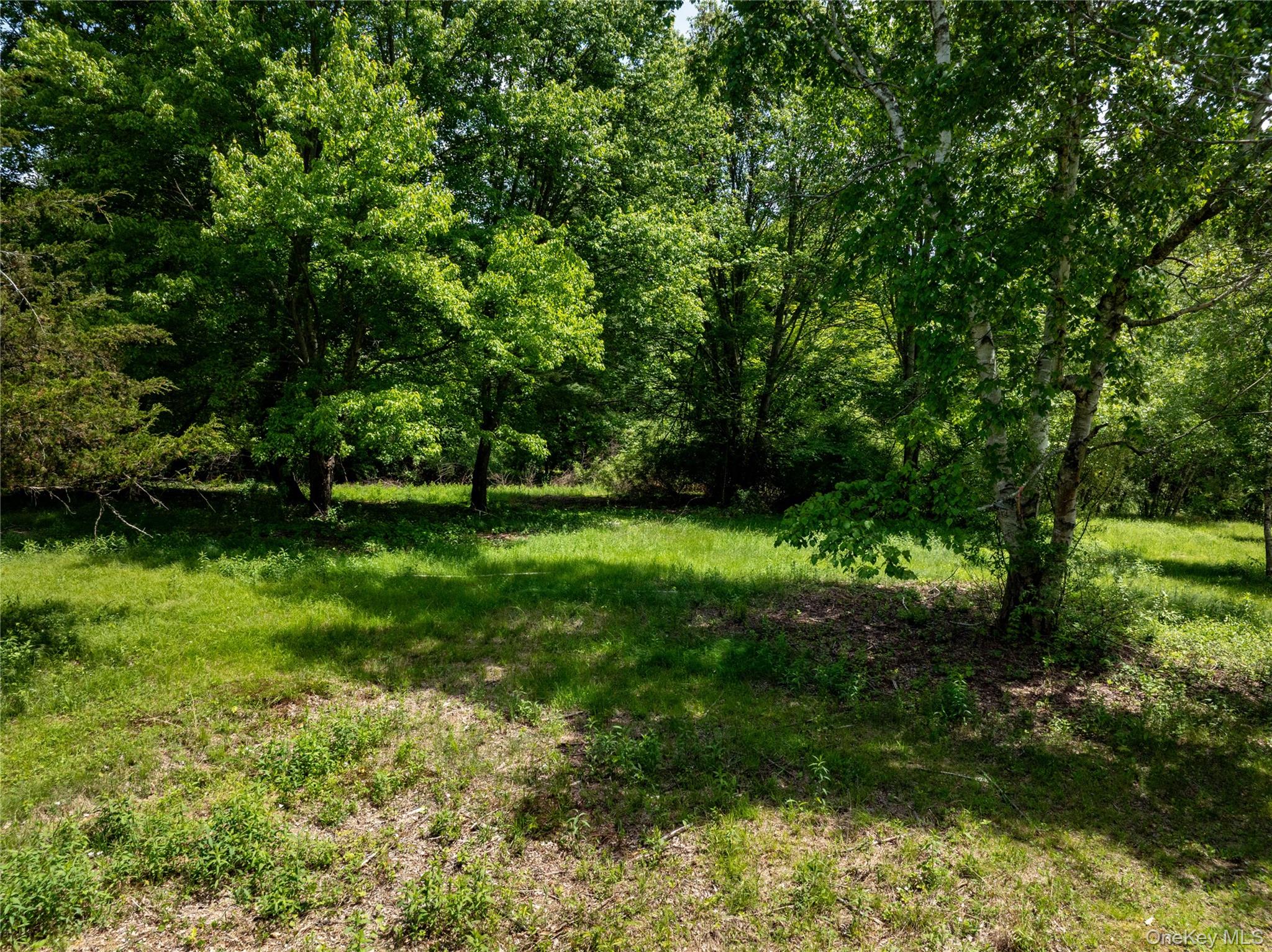 0 Route 7 Copake, NY 12516 - Photo 7 of 40 a view of green field with trees in the background