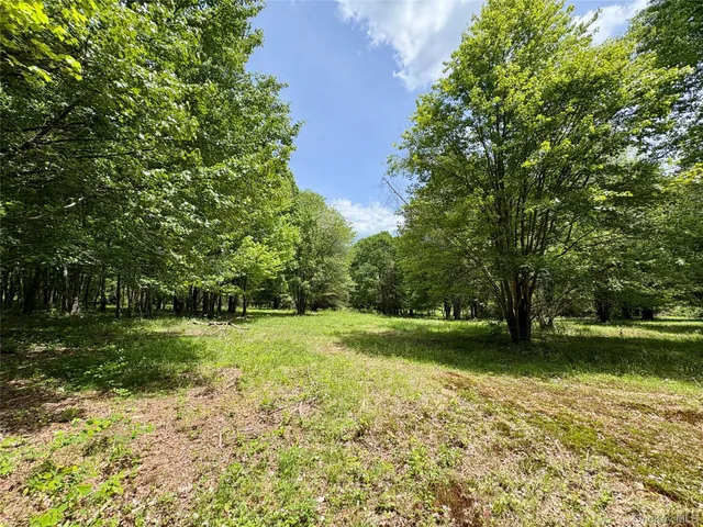 $545,000 | 0 Route 7, Copake, NY 12516