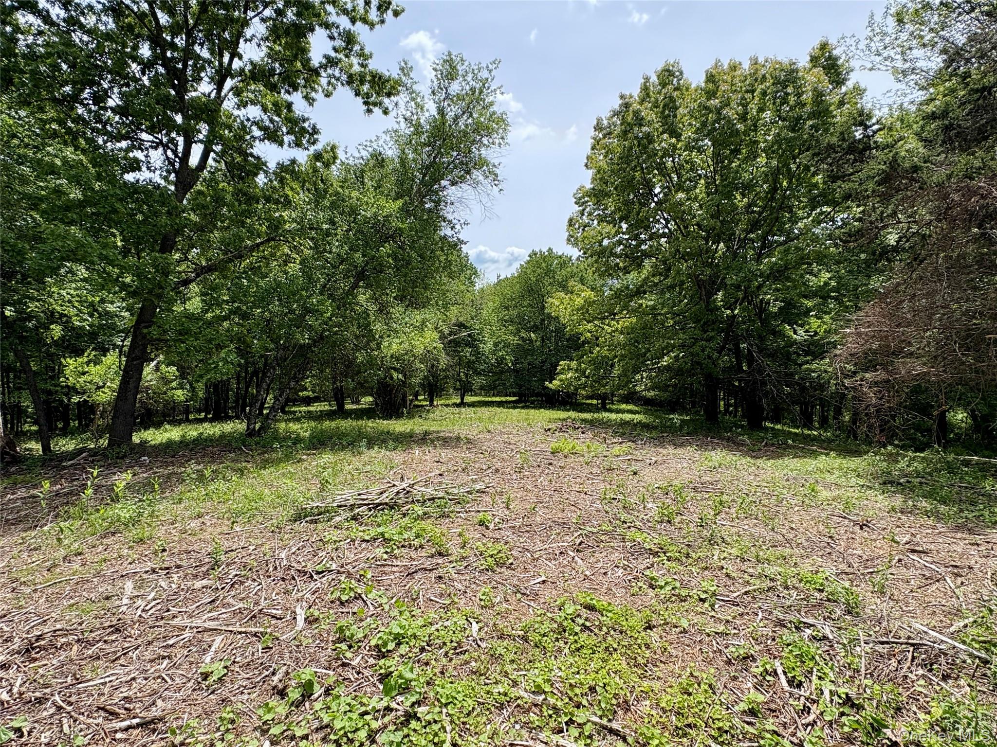 0 Route 7 Copake, NY 12516 - Photo 9 of 40 a view of backyard with green space