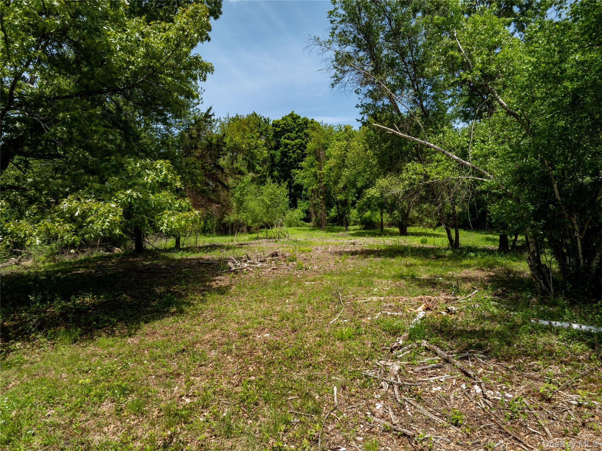 0 Route 7 Copake, NY 12516 - Photo 10 of 40 a grassy field with lots of trees