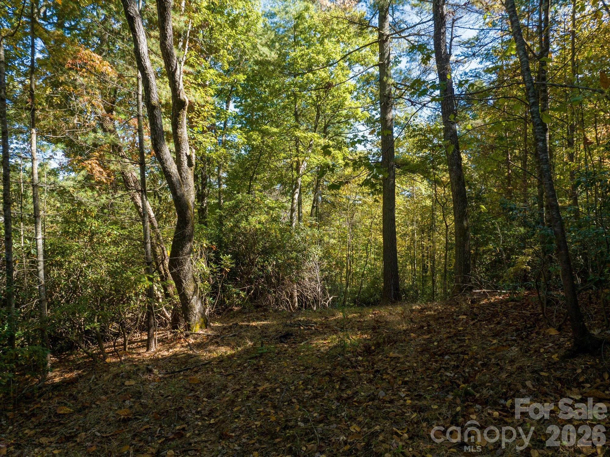 0 Big Hungry Road Flat Rock, NC 28731 - Photo 31 of 40 a view of outdoor space and trees