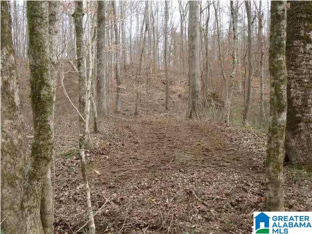 0 Riverview Drive, Unit 116 Cleveland, AL 35049 - Photo 29 of 30
