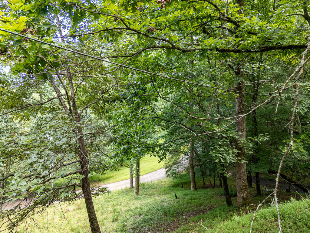 525 Beaver Ridge Road Murphy, NC 28906 - Photo 29 of 46 Gallery Image 29