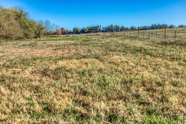 a view of a field with an trees