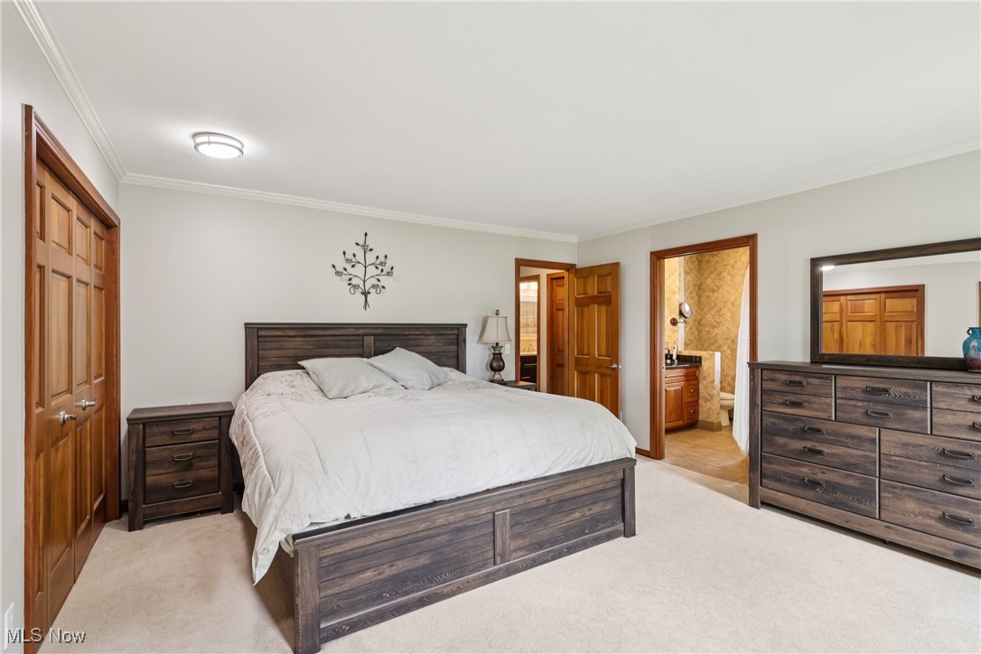 4101 Huffman Road Medina, OH 44256 - Photo 24 of 48 Bedroom featuring light colored carpet, crown molding, and ensuite bathroom