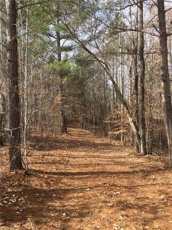 3 Moonlight Meadow Road Asheboro, NC 27205 - Photo 1 of 9 Nice roadbed, already in place, would make a great driveway!