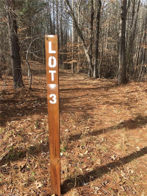 3 Moonlight Meadow Road Asheboro, NC 27205 - Photo 3 of 9 Gallery Image 3