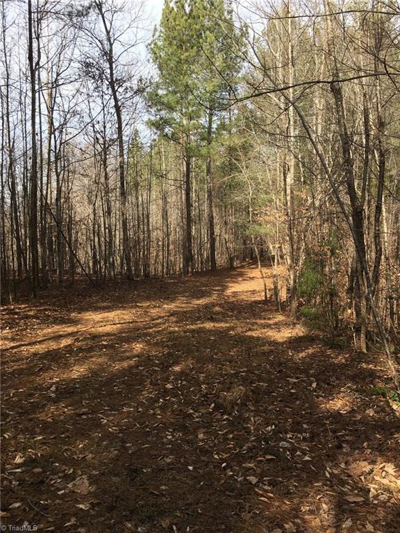 3 Moonlight Meadow Road Asheboro, NC 27205 - Photo 6 of 9 Gallery Image 6