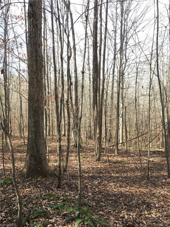 3 Moonlight Meadow Road Asheboro, NC 27205 - Photo 7 of 9 Gallery Image 7