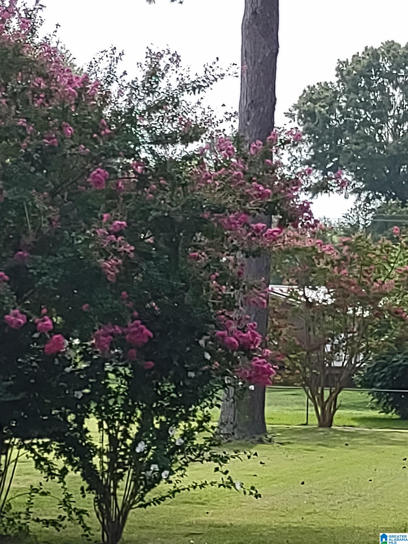 1309 Conger Road Anniston, AL 36207 - Photo 22 of 31