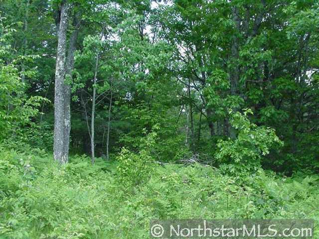 Lot 3 Williams Road Hayward, WI 54843 - Photo 1 of 1