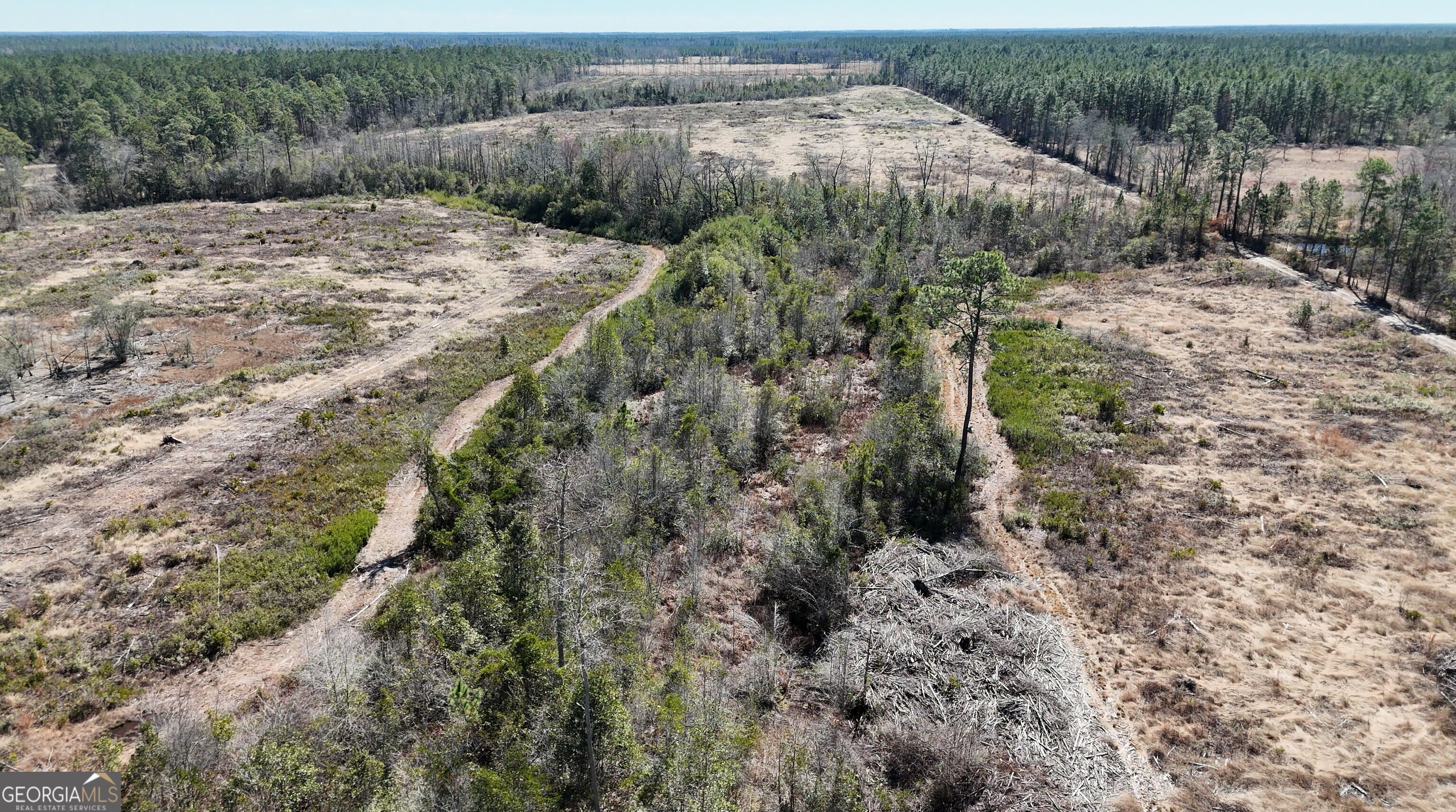 2840 Bay Branch Church Road Claxton, GA 30417 - Photo 11 of 13