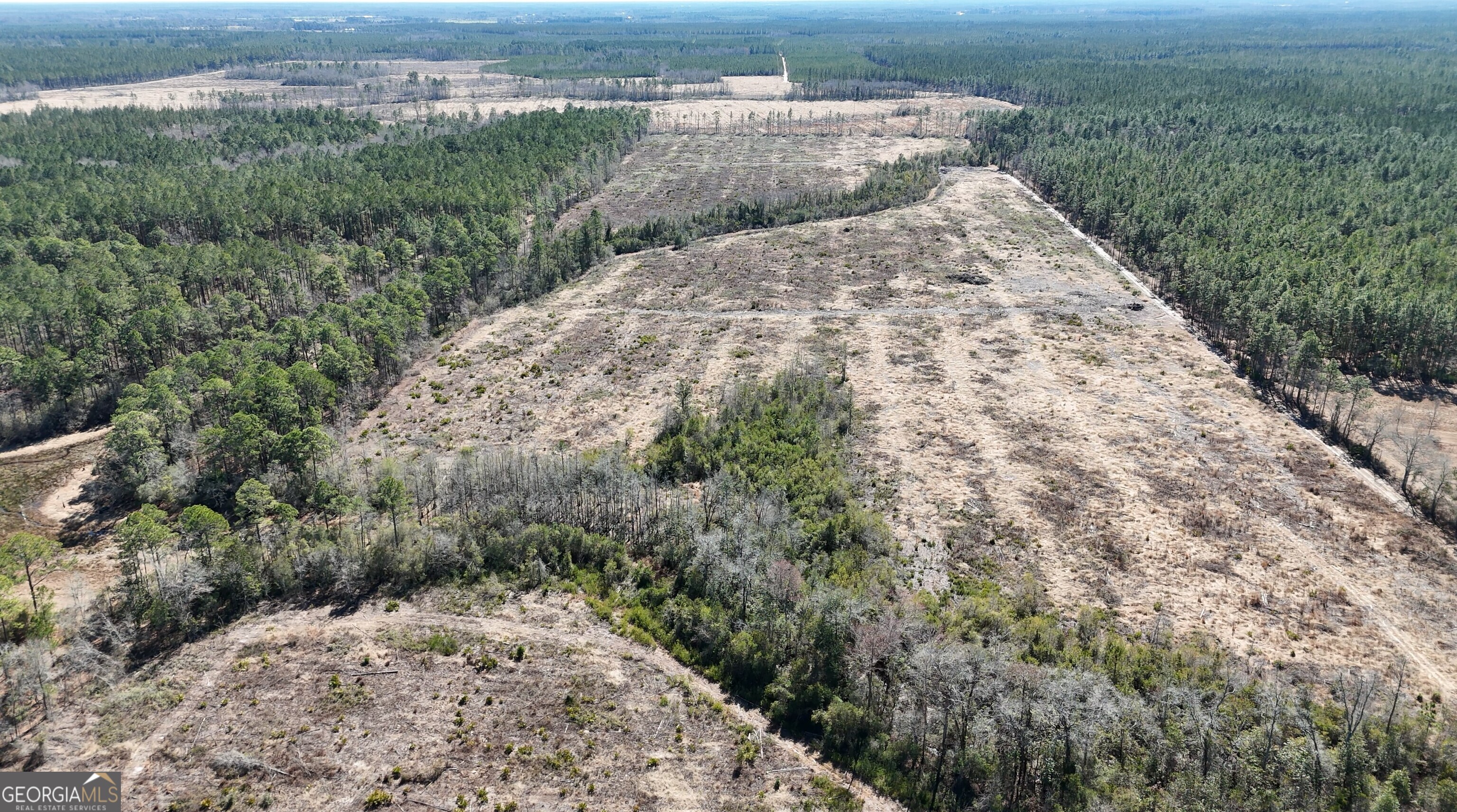 2840 Bay Branch Church Road Claxton, GA 30417 - Photo 12 of 13