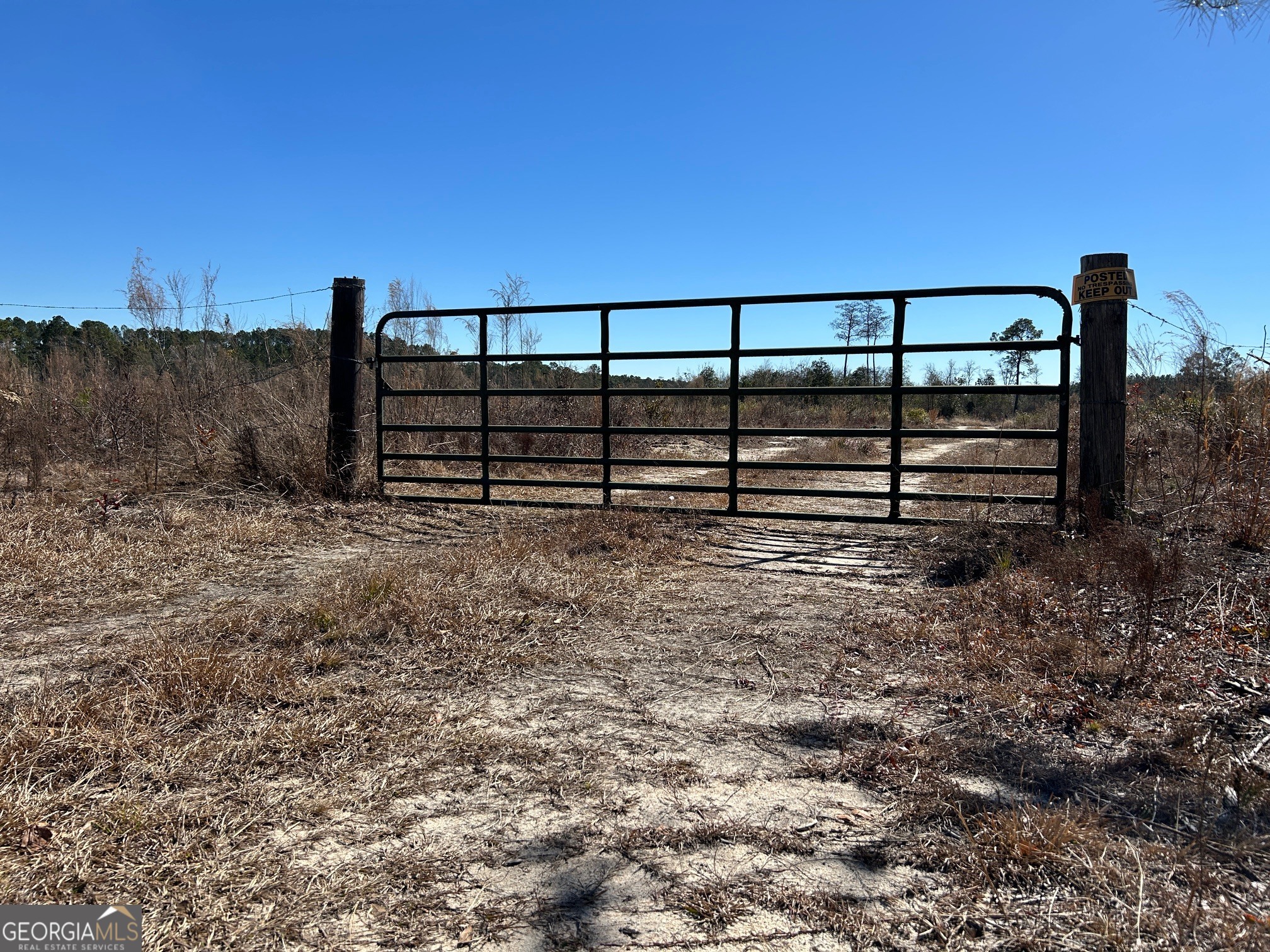 2840 Bay Branch Church Road Claxton, GA 30417 - Photo 2 of 13