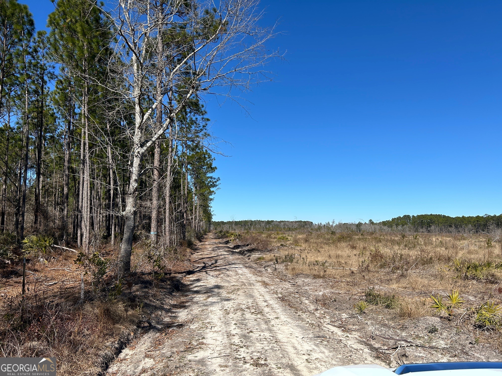 2840 Bay Branch Church Road Claxton, GA 30417 - Photo 4 of 13