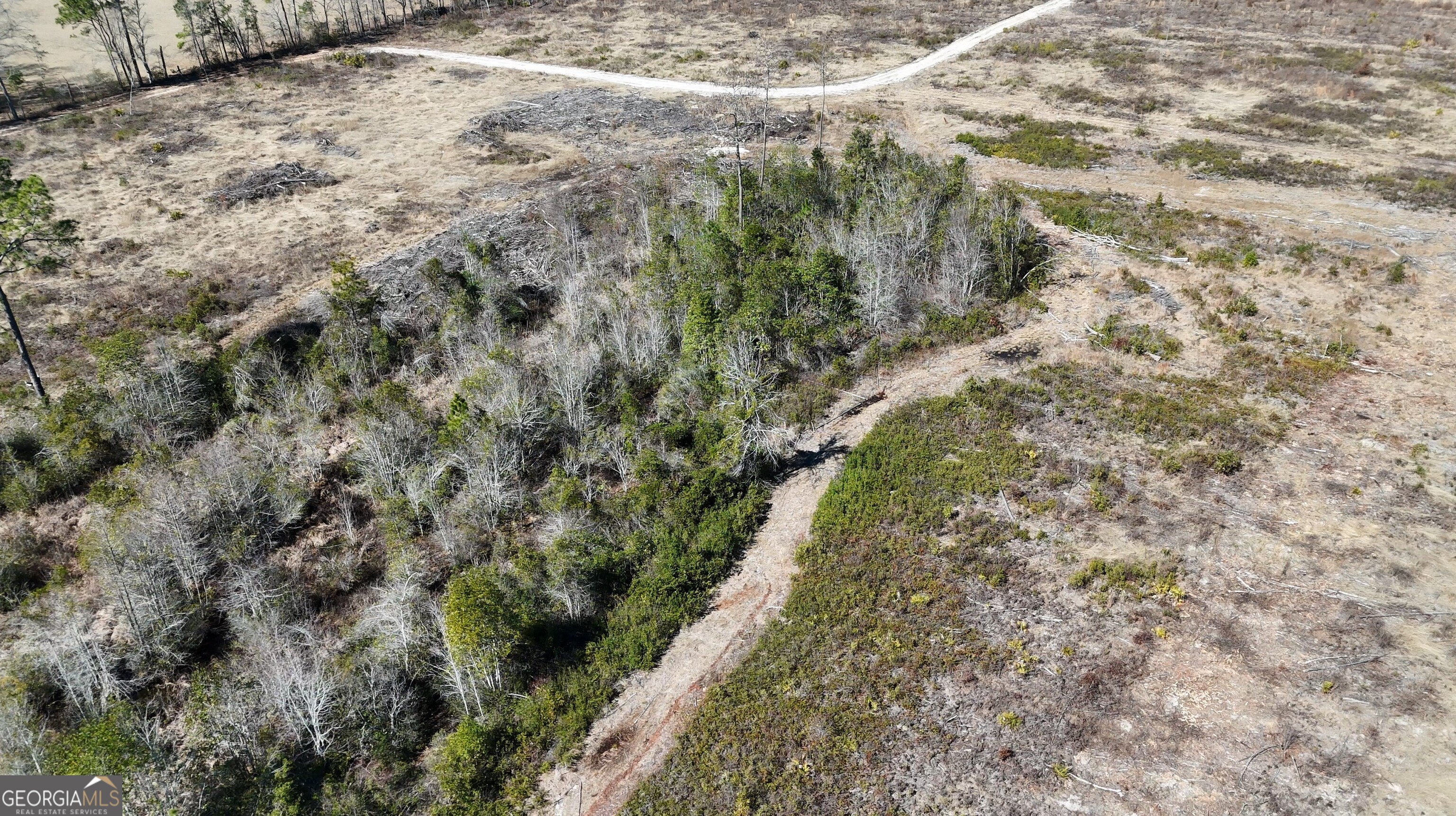 2840 Bay Branch Church Road Claxton, GA 30417 - Photo 5 of 13