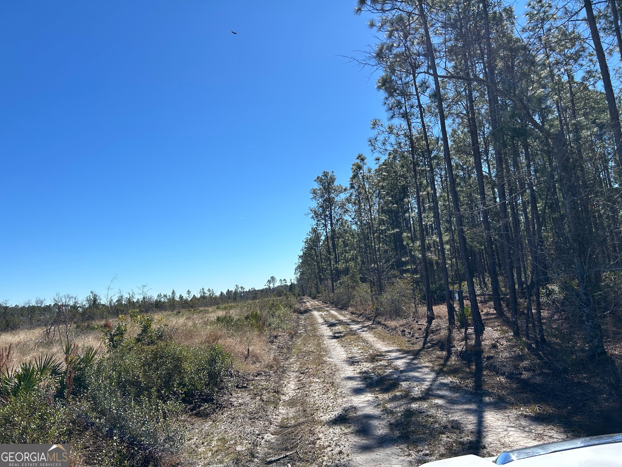 2840 Bay Branch Church Road Claxton, GA 30417 - Photo 6 of 13