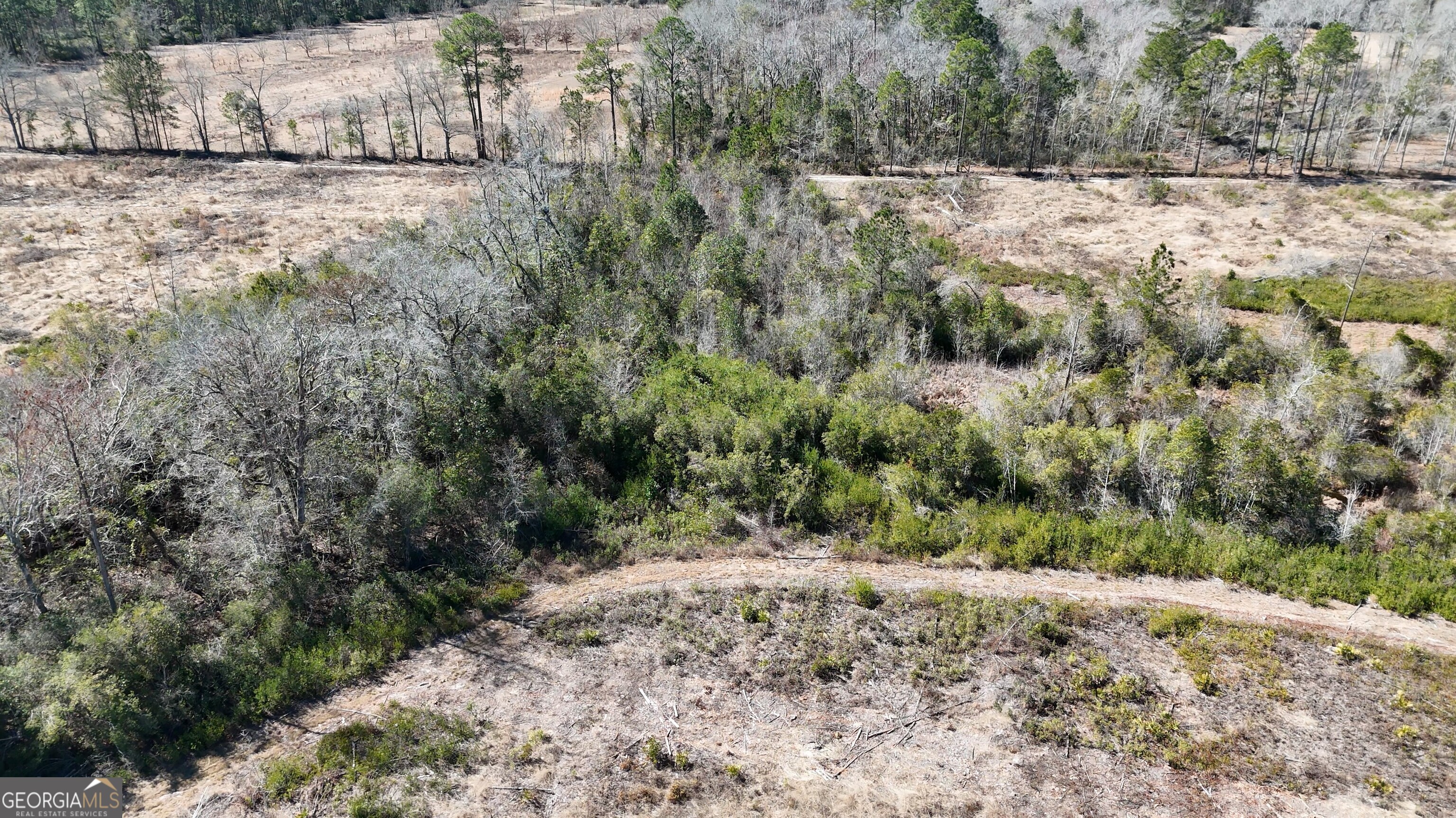 2840 Bay Branch Church Road Claxton, GA 30417 - Photo 7 of 13