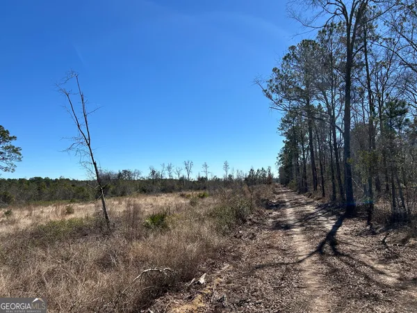 $627,900 | 2840 Bay Branch Church Road, Claxton, GA 30417