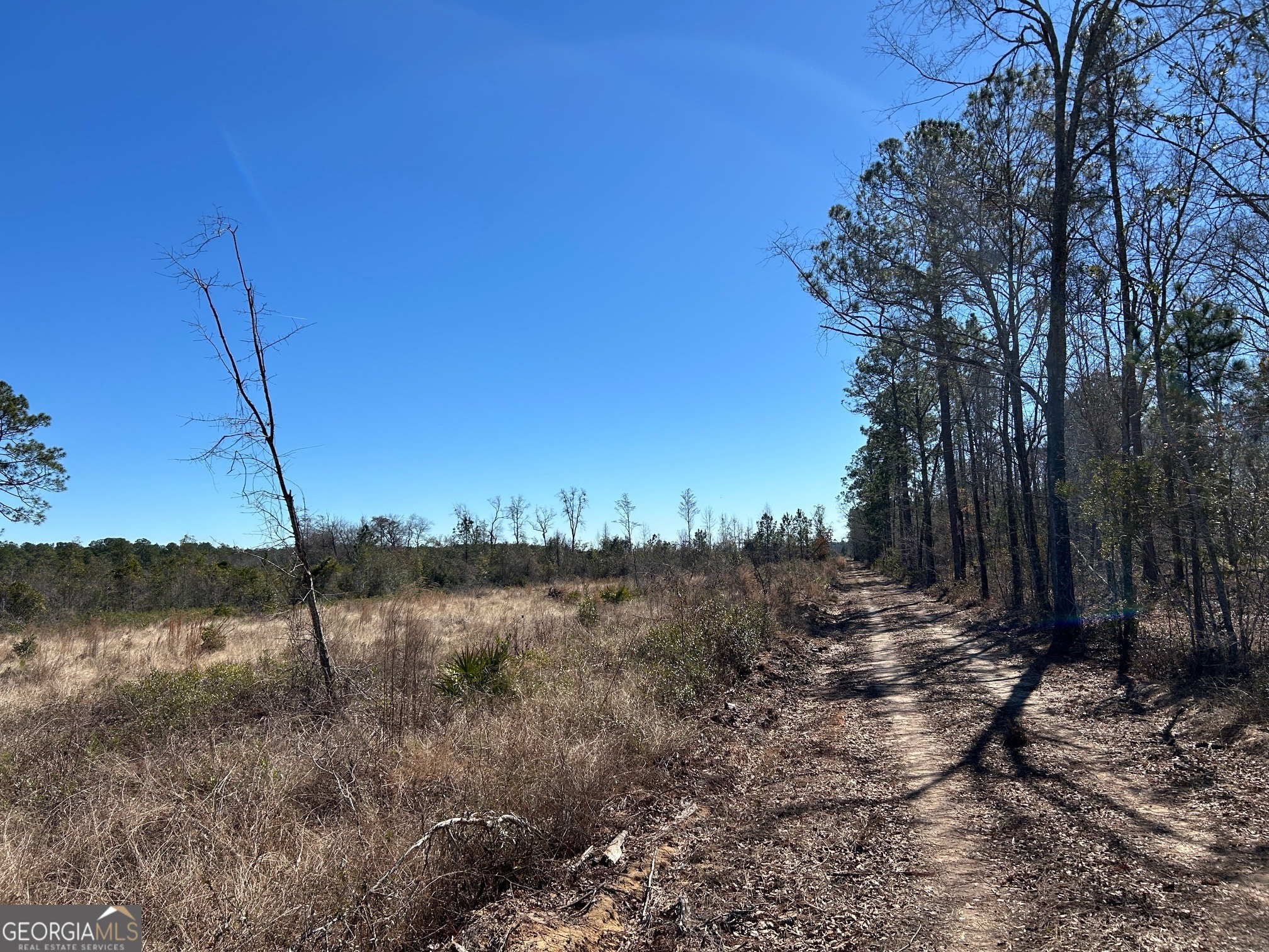 2840 Bay Branch Church Road Claxton, GA 30417 - Photo 8 of 13