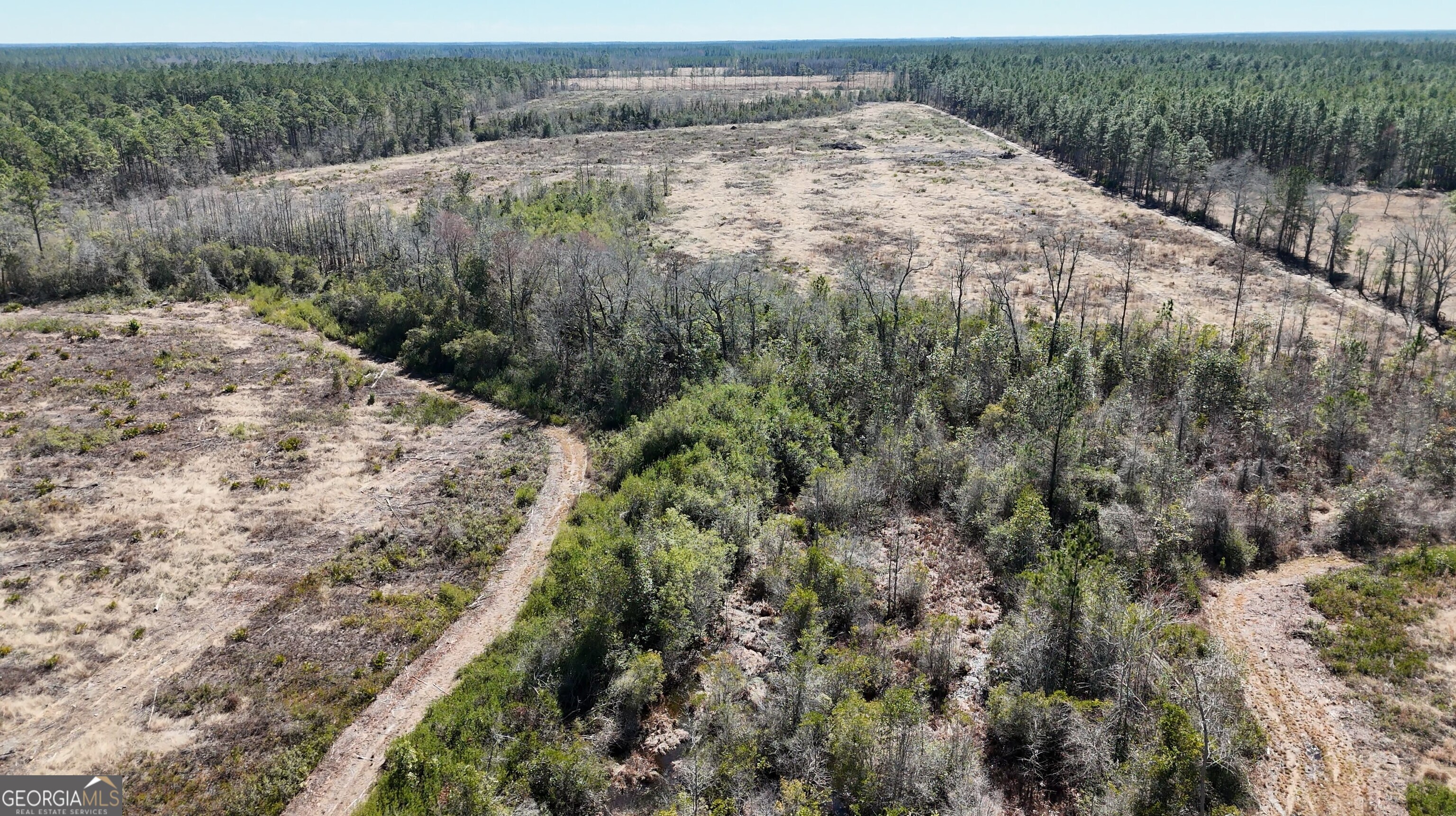 2840 Bay Branch Church Road Claxton, GA 30417 - Photo 10 of 13