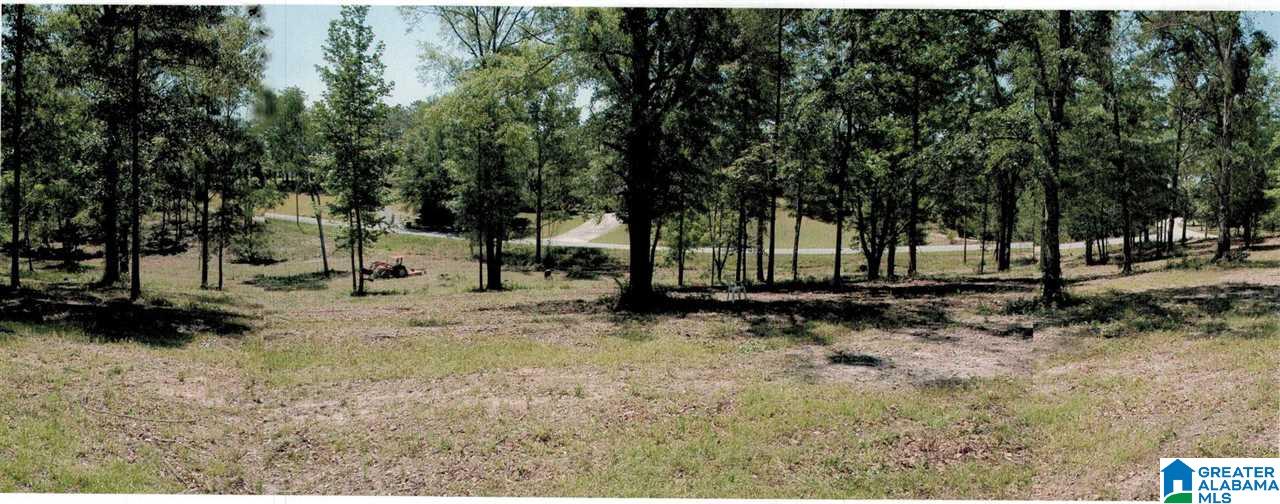 0 Lake Mitchell Road Clanton, AL 35045 - Photo 7 of 10