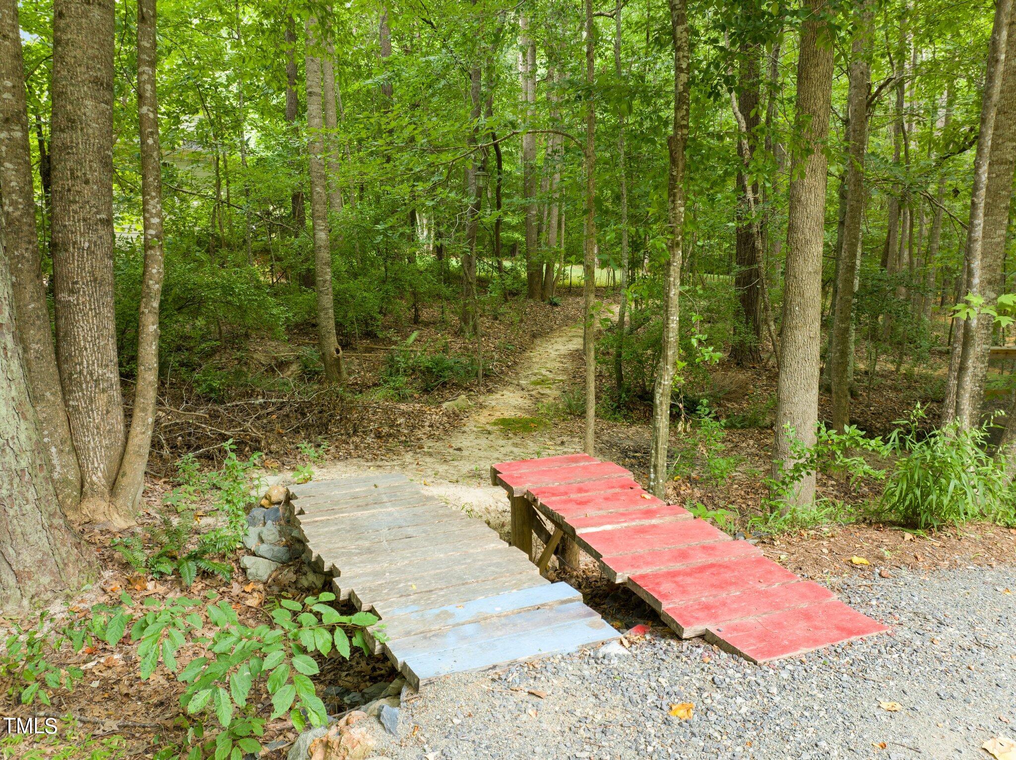 152 Roads End Pittsboro, NC 27312 - Photo 42 of 58 45-web-or-mls-DJI_0682
