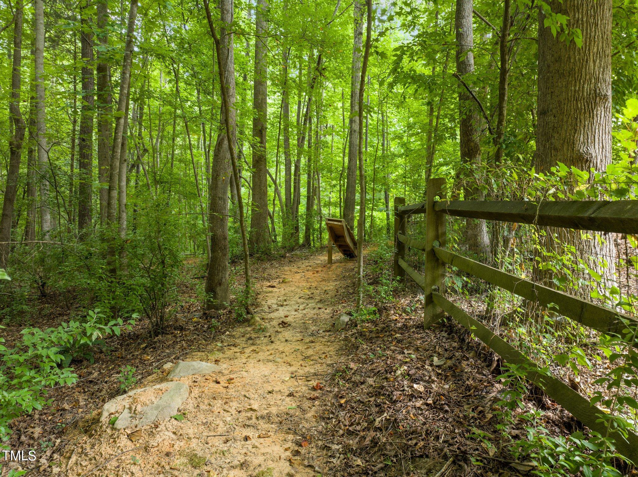 152 Roads End Pittsboro, NC 27312 - Photo 43 of 58 a view of lake with green space