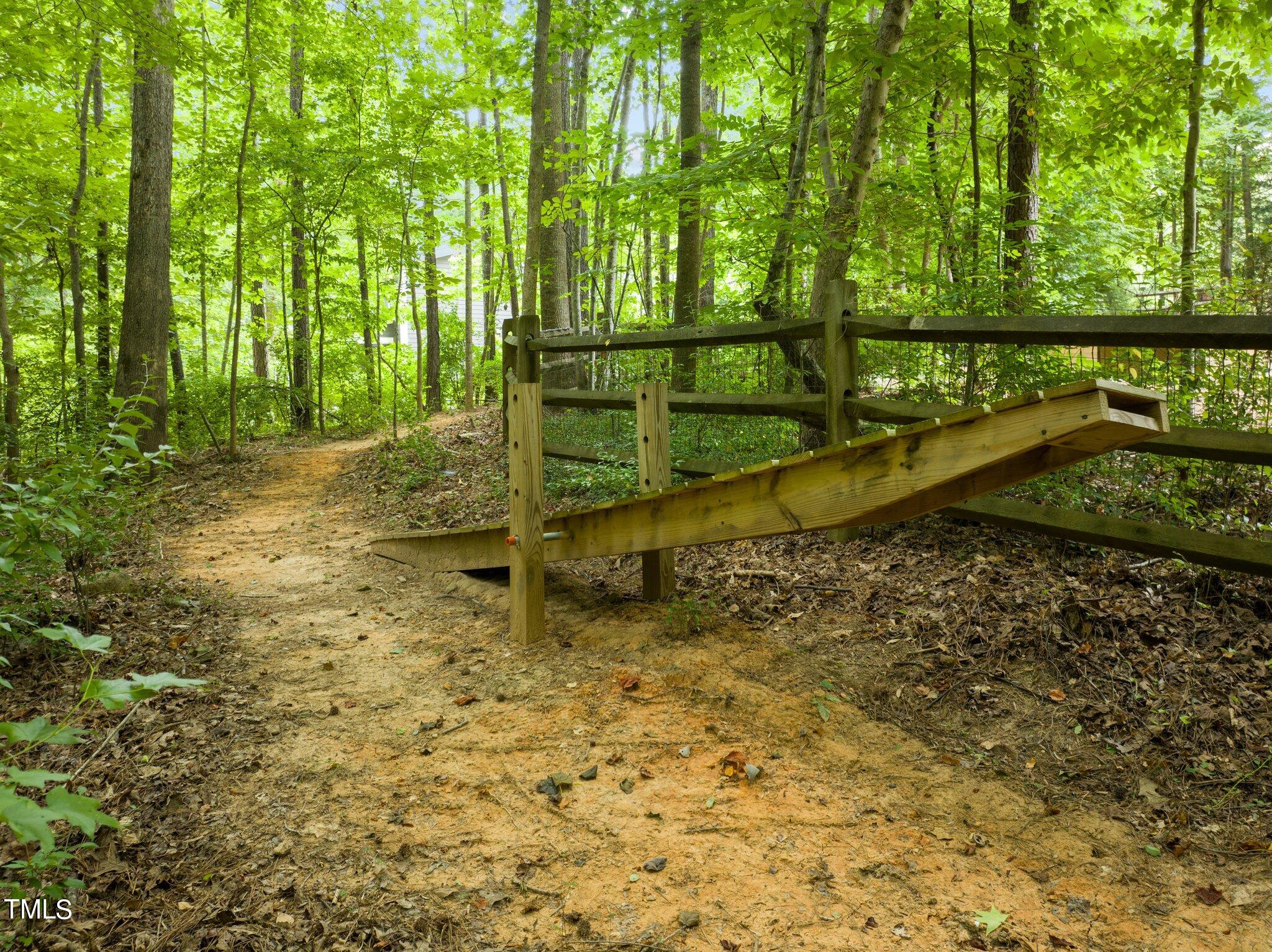152 Roads End Pittsboro, NC 27312 - Photo 49 of 58 a view of a yard with large trees