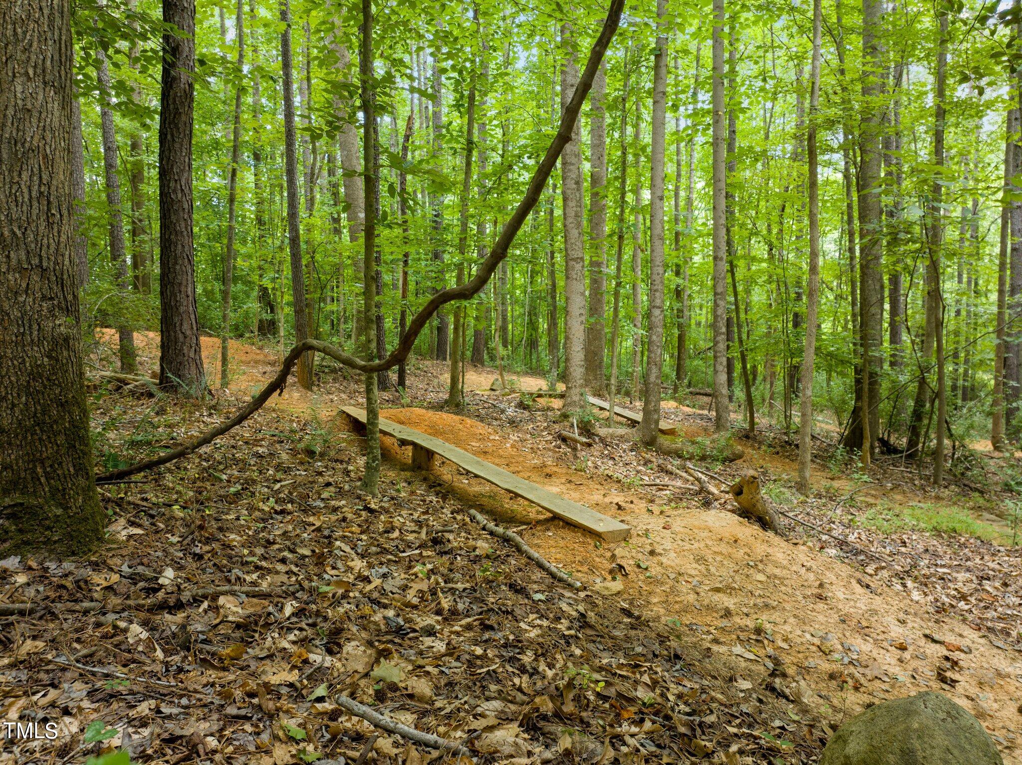 152 Roads End Pittsboro, NC 27312 - Photo 55 of 58 a view of tall trees with a yard