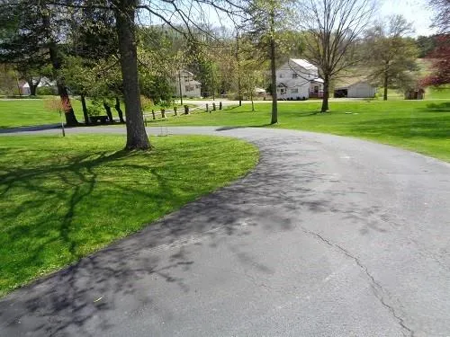 a view of a park with tree s