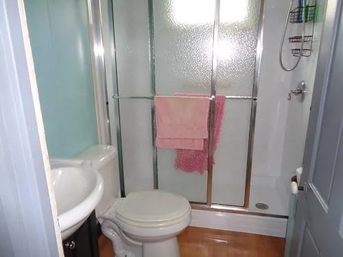 a bathroom with a shower and a toilet