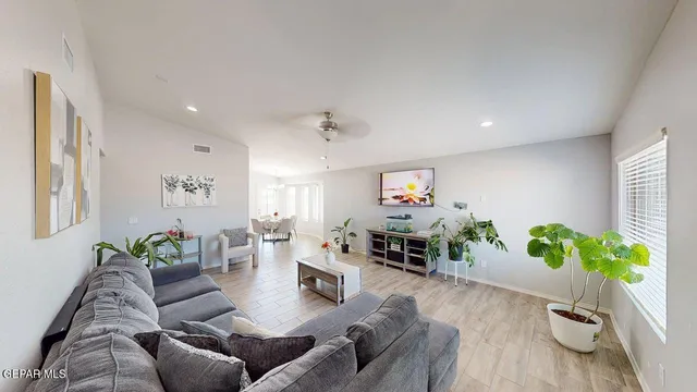a living room with furniture potted plant and a window