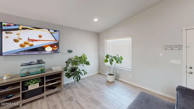 a room with wooden floor and potted plant