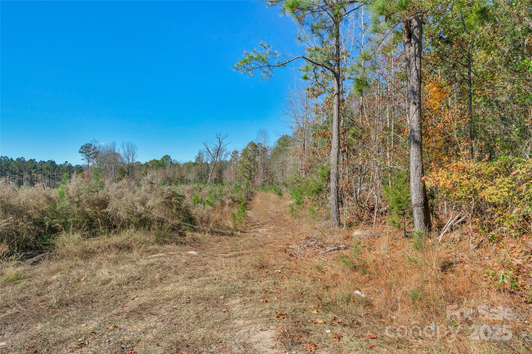 0 Beaker Road, Unit 5 Heath Springs, SC 29058 - Photo 11 of 28 Gallery Image 11