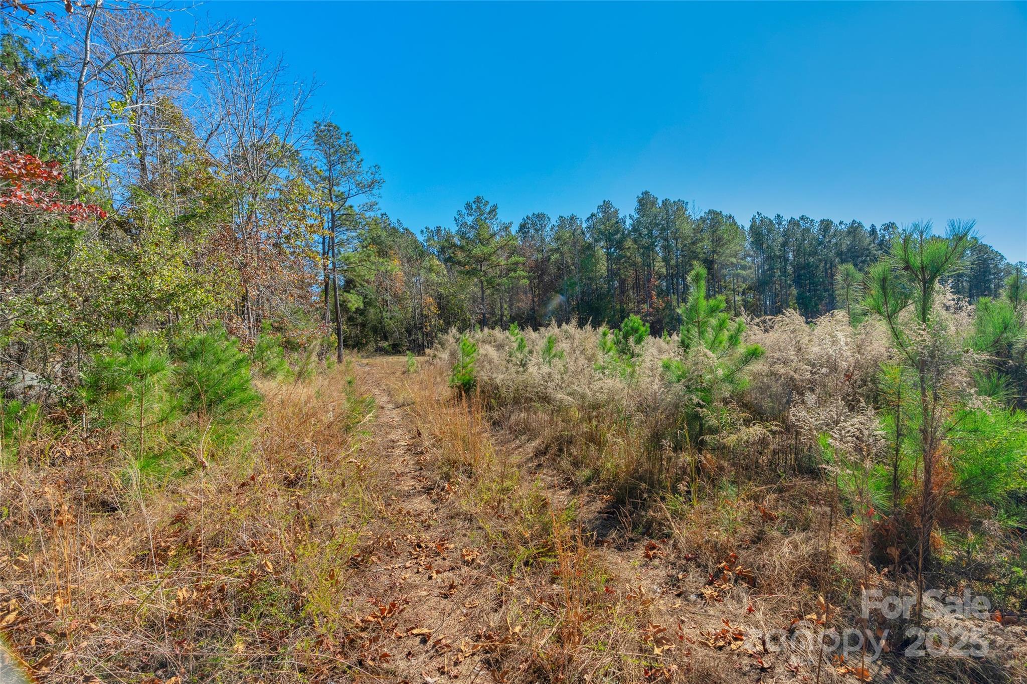 0 Beaker Road, Unit 5 Heath Springs, SC 29058 - Photo 12 of 28 Gallery Image 12