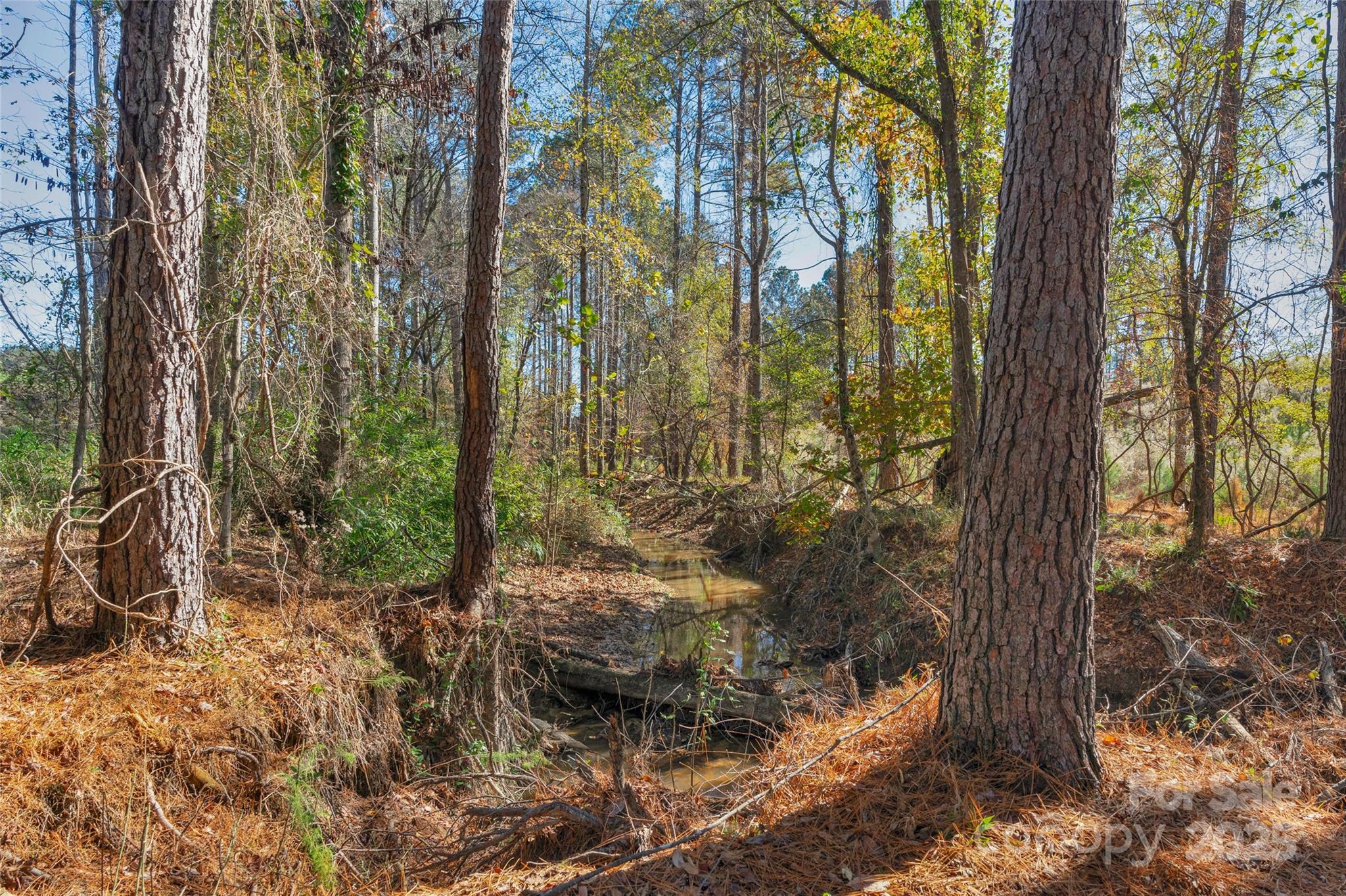 0 Beaker Road, Unit 5 Heath Springs, SC 29058 - Photo 13 of 28 Gallery Image 13