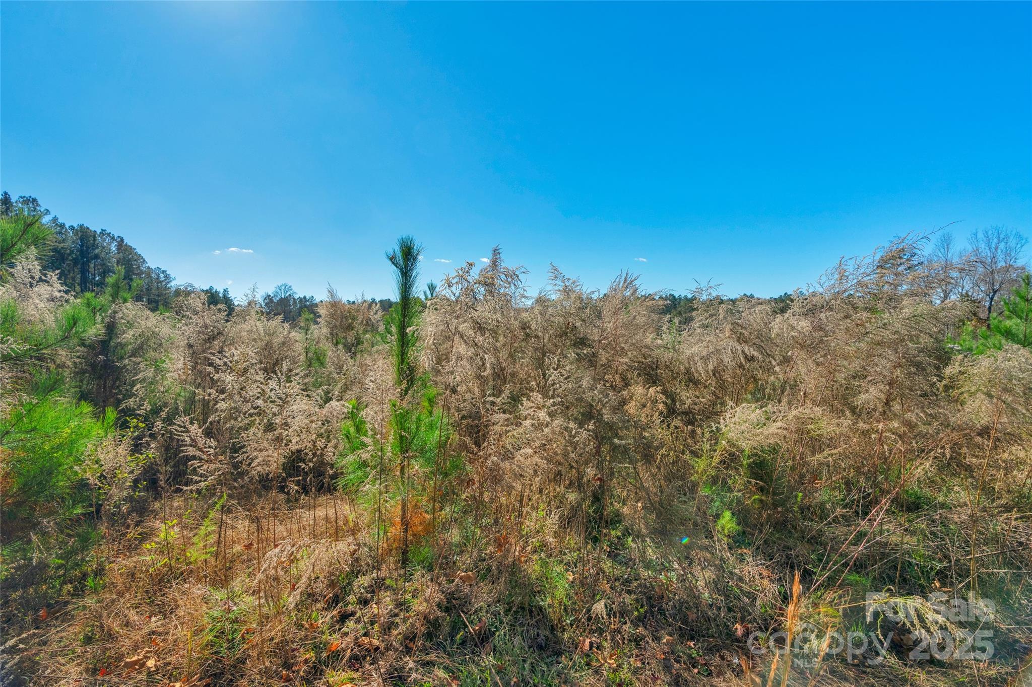 0 Beaker Road, Unit 5 Heath Springs, SC 29058 - Photo 14 of 28 Gallery Image 14