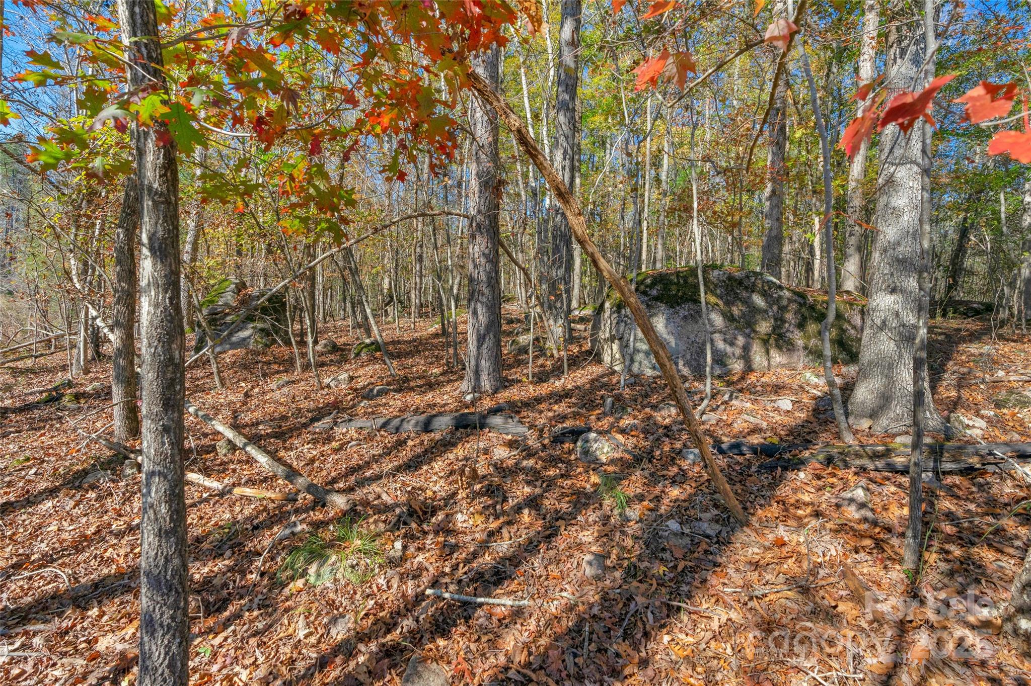 0 Beaker Road, Unit 5 Heath Springs, SC 29058 - Photo 15 of 28 Gallery Image 15