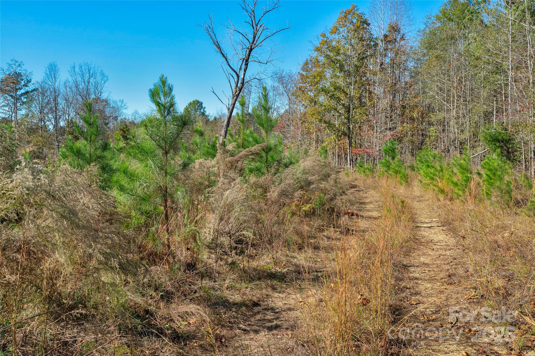 0 Beaker Road, Unit 5 Heath Springs, SC 29058 - Photo 18 of 28 Gallery Image 18