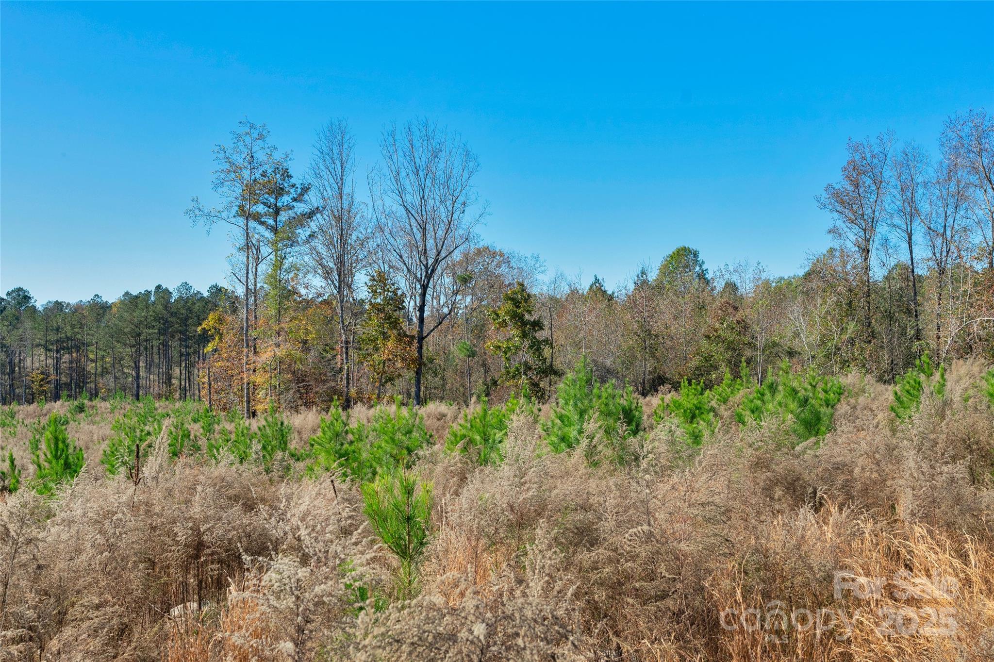0 Beaker Road, Unit 5 Heath Springs, SC 29058 - Photo 19 of 28 Gallery Image 19