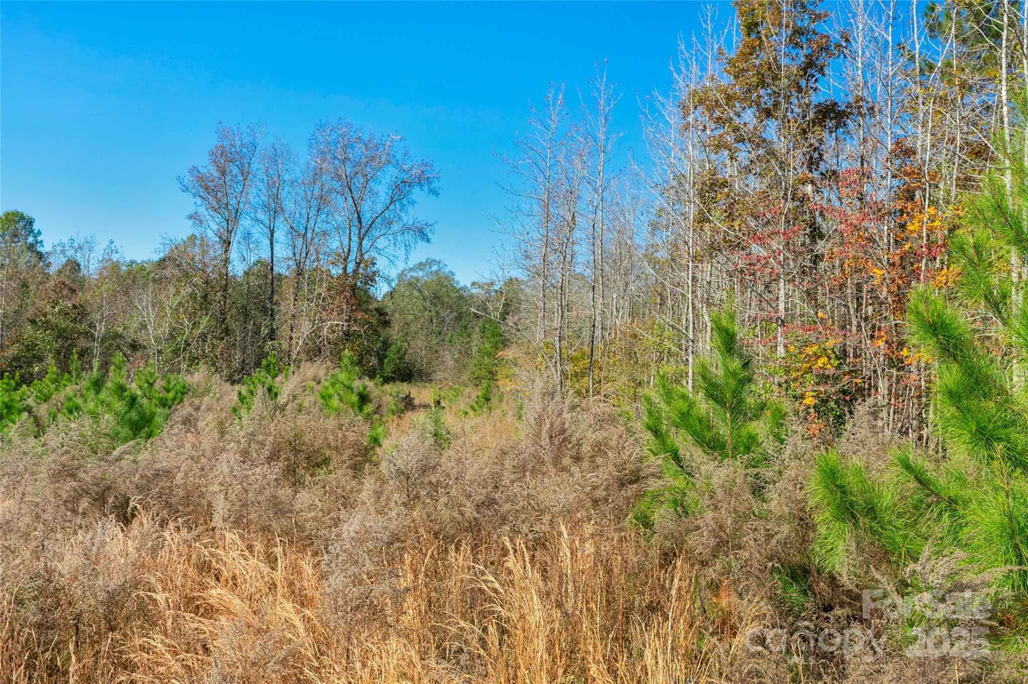 0 Beaker Road, Unit 5 Heath Springs, SC 29058 - Photo 20 of 28 Gallery Image 20