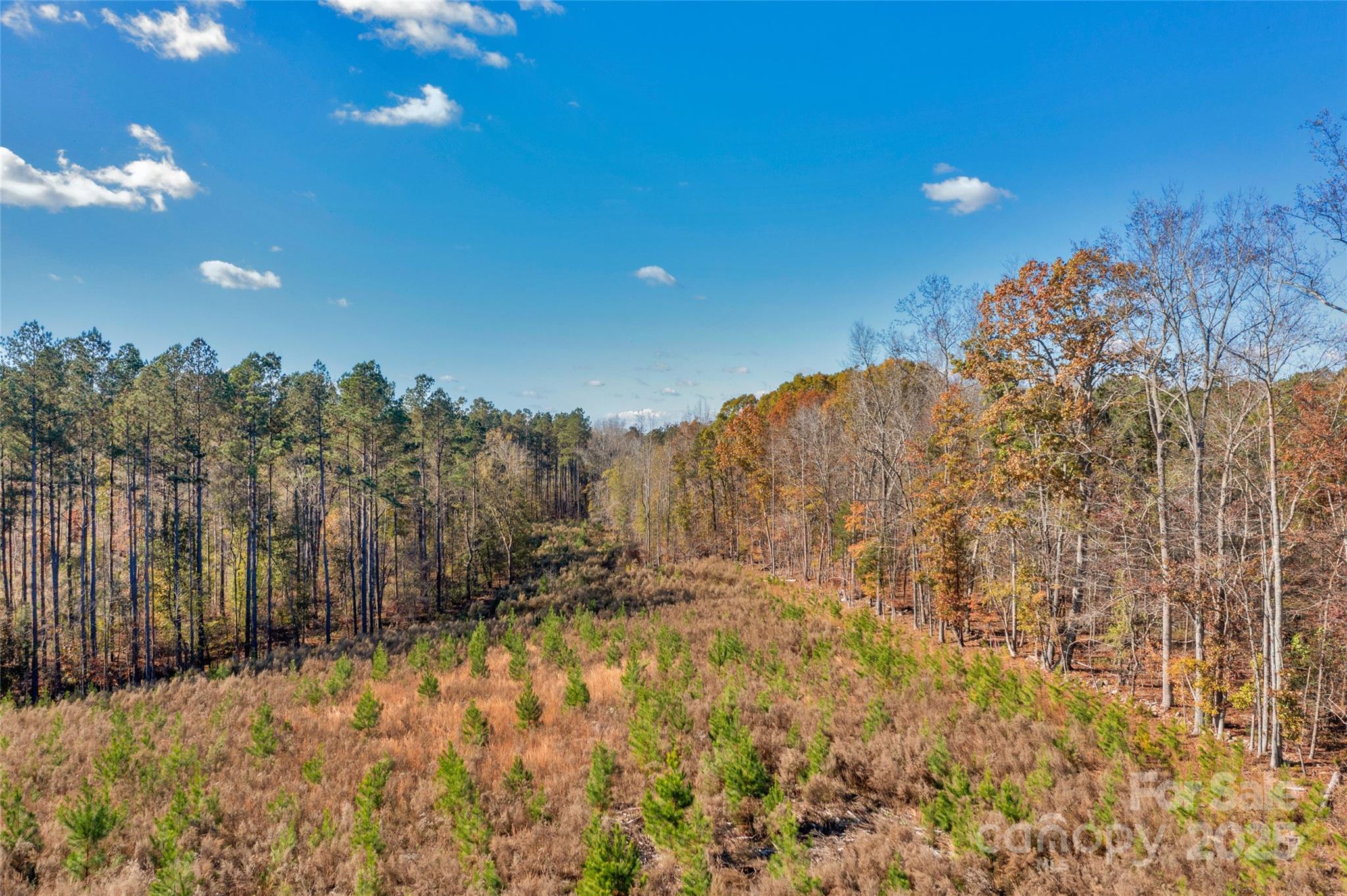 0 Beaker Road, Unit 5 Heath Springs, SC 29058 - Photo 2 of 28 Gallery Image 2
