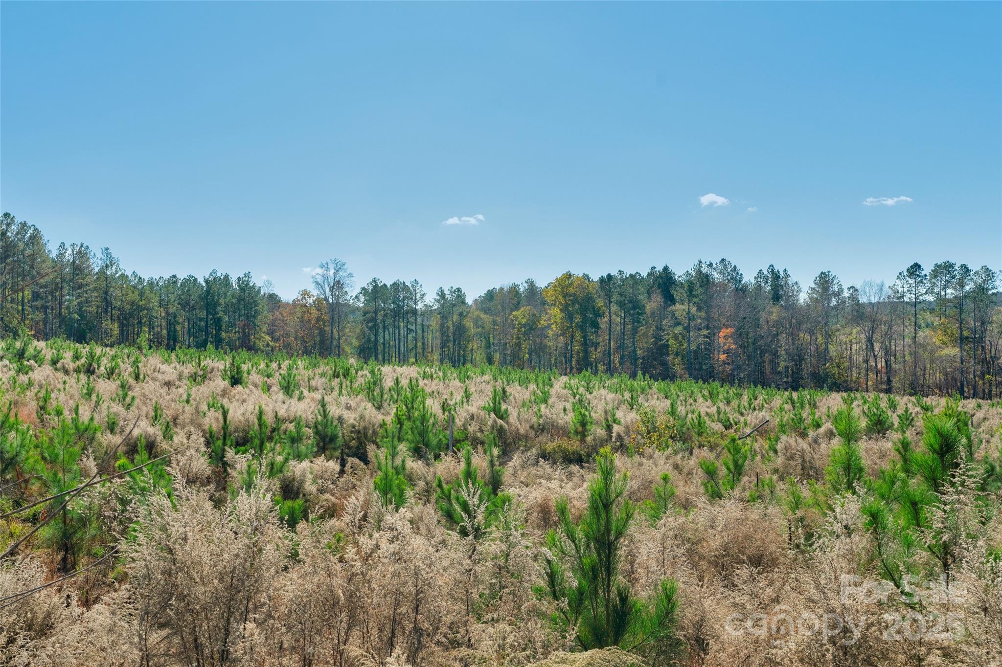 0 Beaker Road, Unit 5 Heath Springs, SC 29058 - Photo 21 of 28 Gallery Image 21